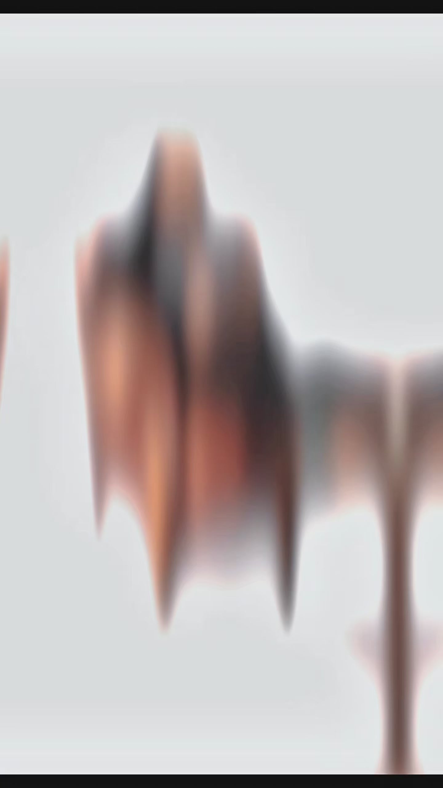 Premium Unisex Hoodie